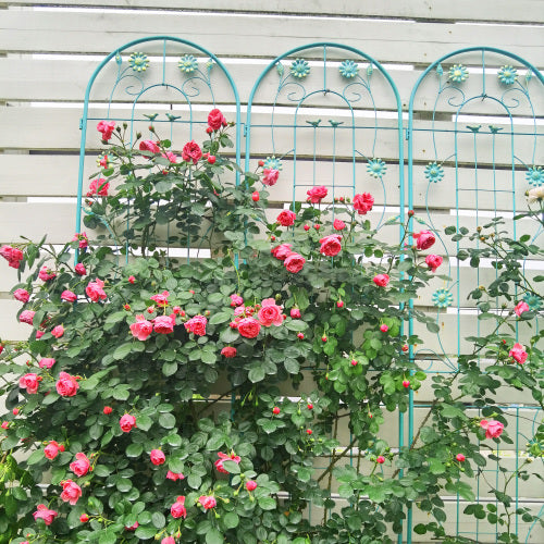 71 in. Height Metal Garden Rustproof Trellis Outdoor Flower Support with Pattern for Climbing Plants in Green (4 Pack)