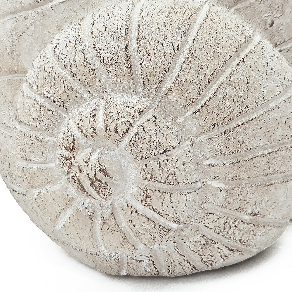 9.5x8.3x6" Decorative Sand and Cement Snail Planter with Textured Beige Finish