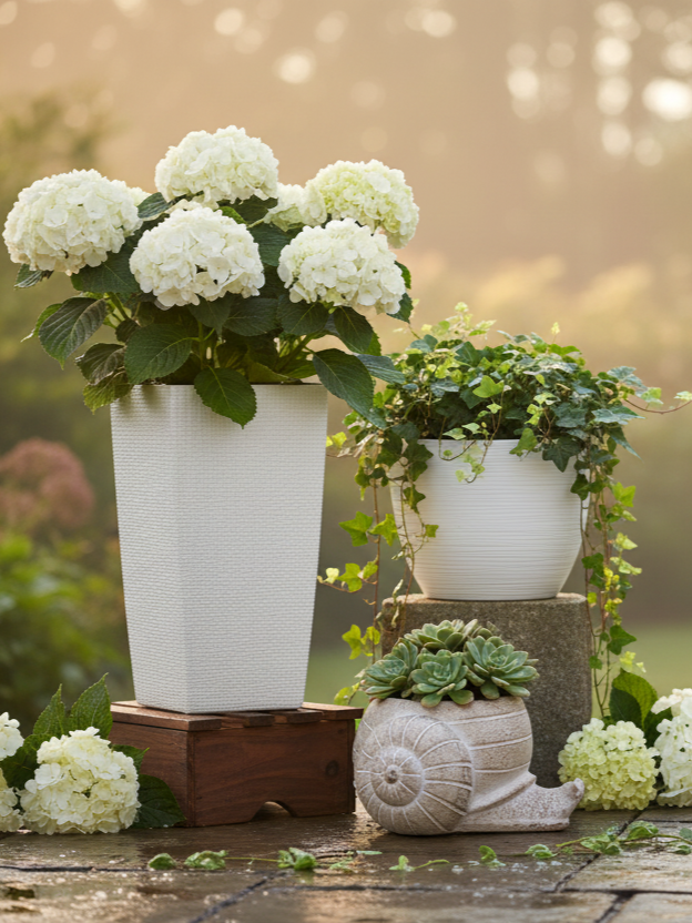 TerraCove Garden Pots
