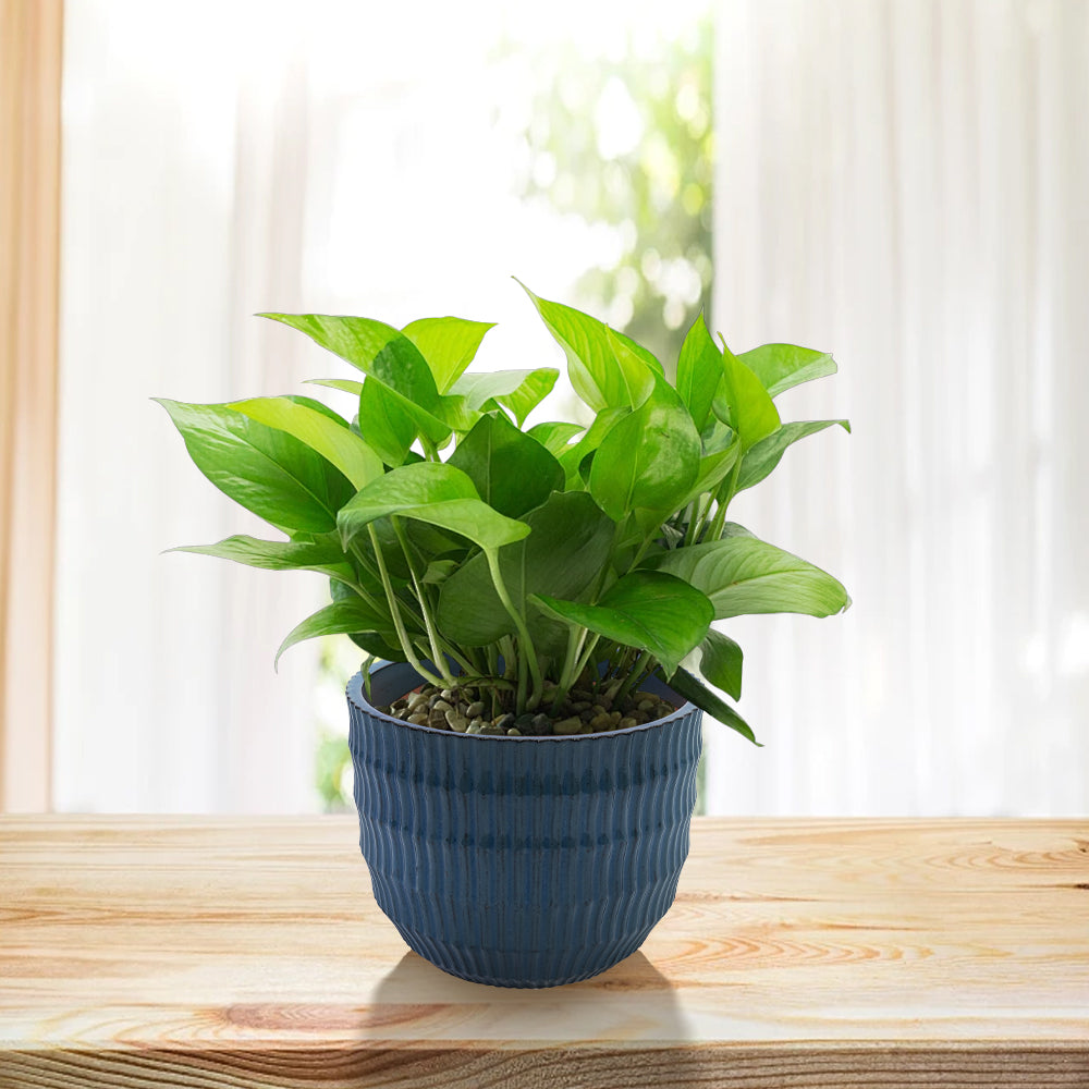 Handmade Navy Blue Ceramic Planter Set of 4 (5.31" to 14.17"), Indoor/Outdoor Flower Pots for Orchids, Succulents by Window, Couchside - Breathable Textured Clay with Drainage