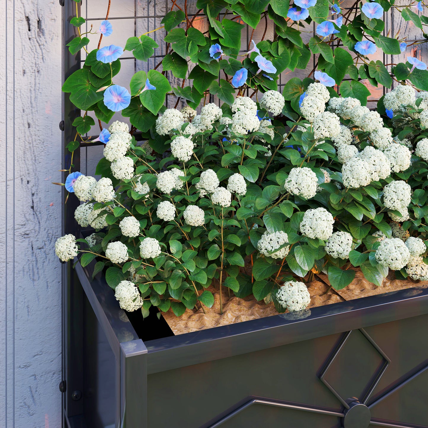 Outsunny Galvanized Raised Garden Bed with Trellis for Climbing Vines Vegetables Flowers, Outdoor Planter Box, 35.4" x 15.7" x 47.2", Black