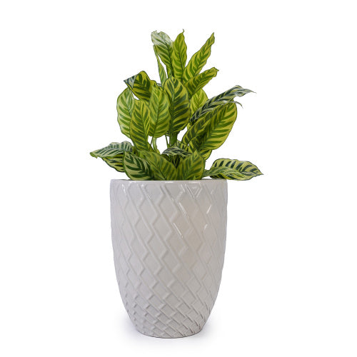 16.5 in. Dia x 21 in. H Milk White Ceramic Round Planter, for Patio, Garden, Windowsill-White