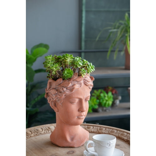 D 6 x 9 in. Cement Visage Head Bust Planter, Brown concrete