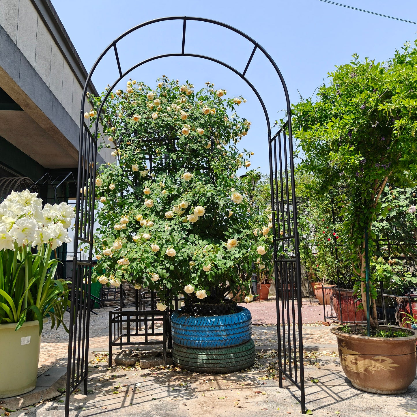 Metal Garden Arch L42.24'' x W17.52'' x H85.82'' Climbing Plants Support Rose Arch Outdoor Black