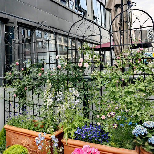 2-Pack 86.7 in. Metal Garden Trellis for Climbing Plants, Black
