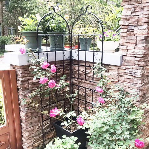 2-Pack 86.7 in. Metal Garden Trellis for Climbing Plants, Black