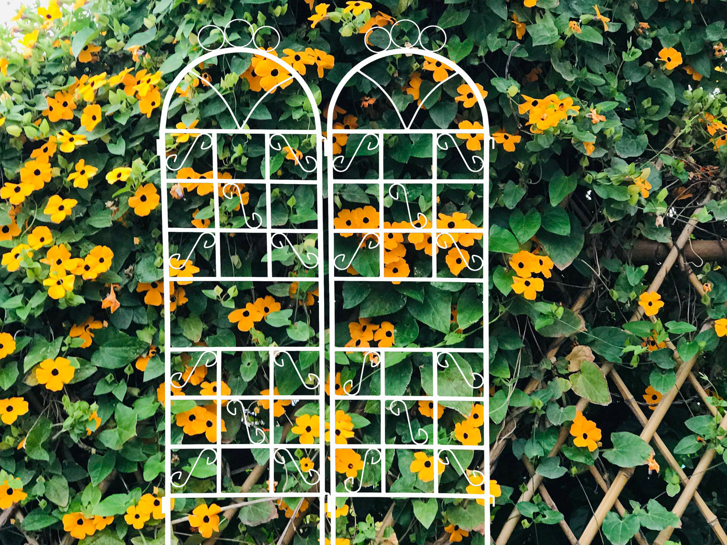 1Set (2pcs) Metal Garden Trellis for Climbing Plants Outdoor  Rustproof Plant Support -ceramic whiteware