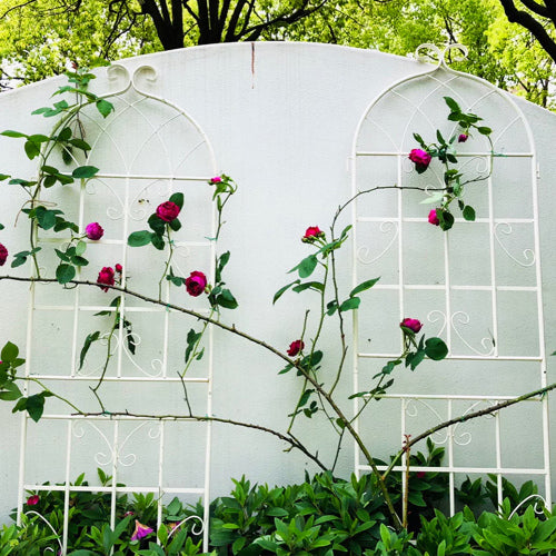 86.7 in. White Metal Garden Trellis Outdoor Flower Support (2-Pack)