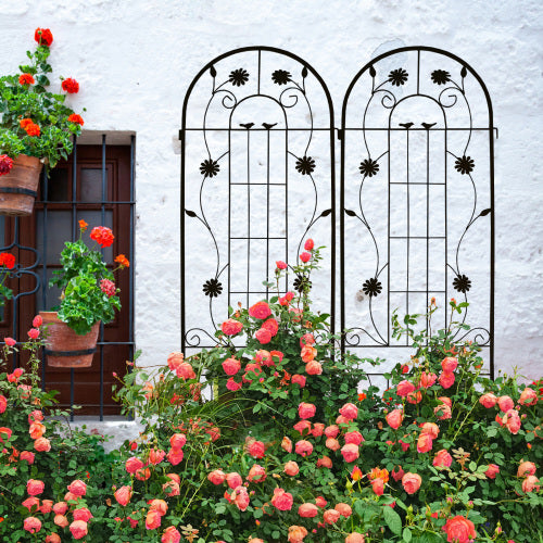 71 in. BLUIK Heavy-Duty Rustproof Metal Garden Plant Support Tall Wall Climbing Trellis (2-Pack)