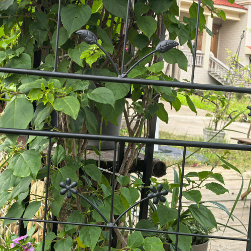 71 in. H Metal Rustproof Garden Trellis in Black, Outdoor Flower Support (2-Pack)
