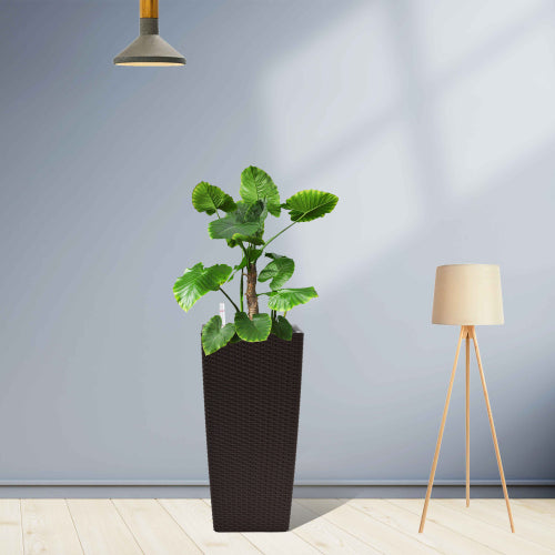 Polypropylene Plastic Square Planter Set with Automatic Watering System in Brown for Patio (2-Pack)