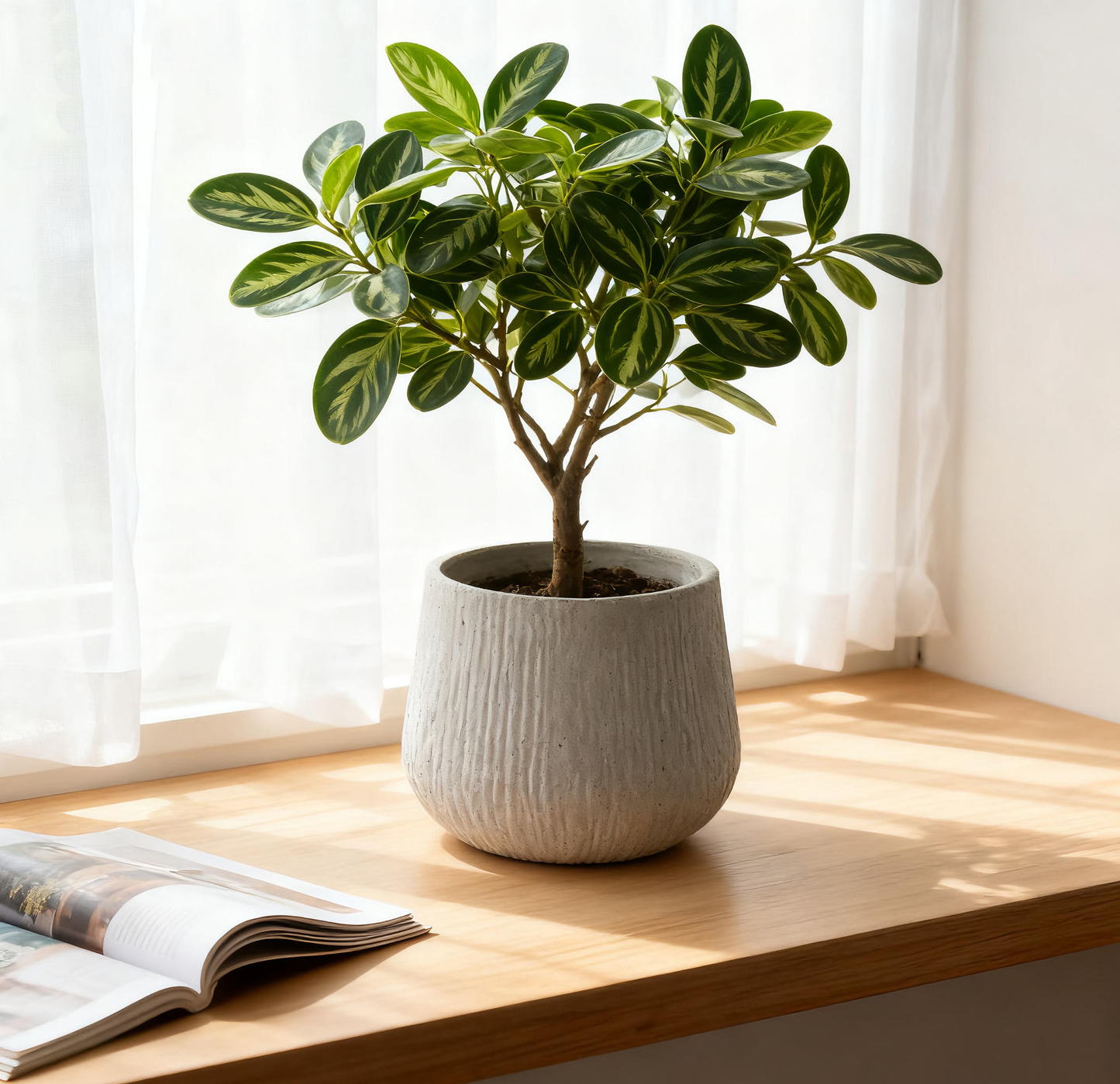 11" Dia x 9.06" H Large Round Planters for Indoor Plants, Outdoor Planters with Drainage Holes, Magnesium Oxide Plant Pot with Cement Texture Plant Pots Indoor & Outdoor for Home Garden Patio