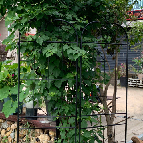 71 in. H Metal Rustproof Garden Trellis in Black, Outdoor Flower Support (2-Pack)