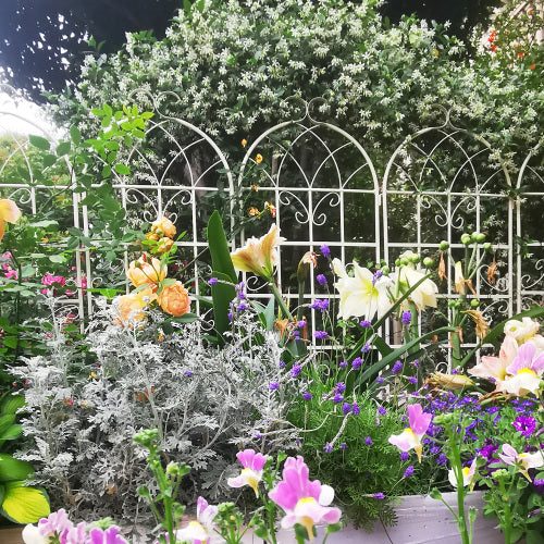86.7 in. White Metal Garden Trellis Outdoor Flower Support (2-Pack)