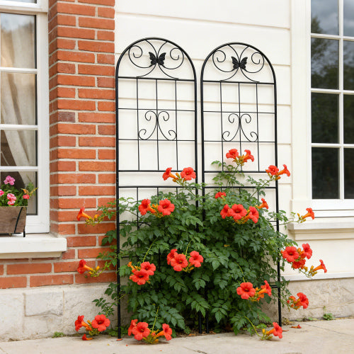 2-Pack Metal Garden Trellis 71 in. x 19.7 in. Simple Design Trellis for Climbing Plants Flower Support, Butterfly Black