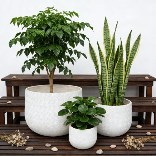 Callaia Large 8.66 in. 14.17 in. and 21.65 in. Dia White MGO Round Indoor and Outdoor Planters (3-Pack)