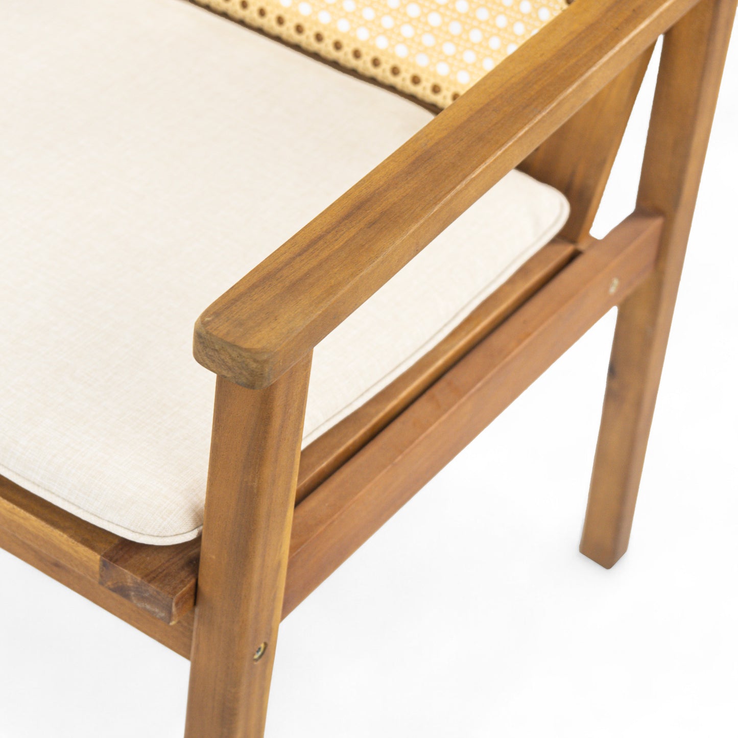 Preston Outdoor Dining Chair with Cushion(Set of 2)