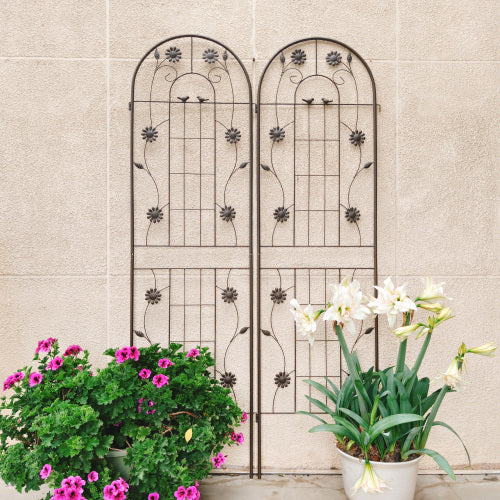 71 in. H x 19.7 in. W-2 Pack Brown Metal Garden Trellis Rustproof Climbing Plant Supports for Outdoor Flowers, Vines