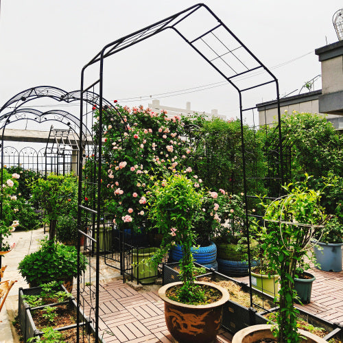 94.5 in. x 56.3 in. Galvanized Powder-Coated Metal Garden Arch Arbor for Outdoor Climbing Plants Support in Black