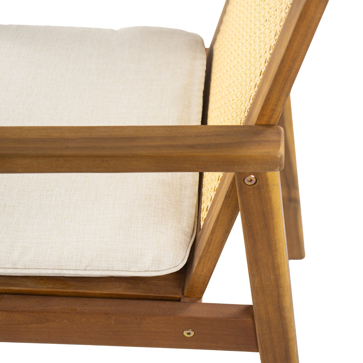 Preston Outdoor Dining Chair with Cushion(Set of 2)