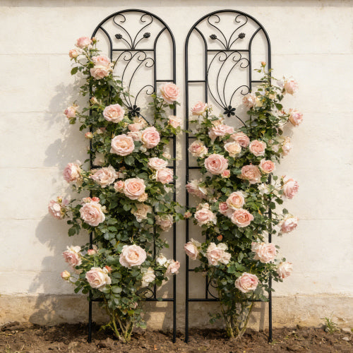 86.7 in. Black Iron Garden Trellis Outdoor Climbing Plant/Flower Support (2-Pack) Flower Design