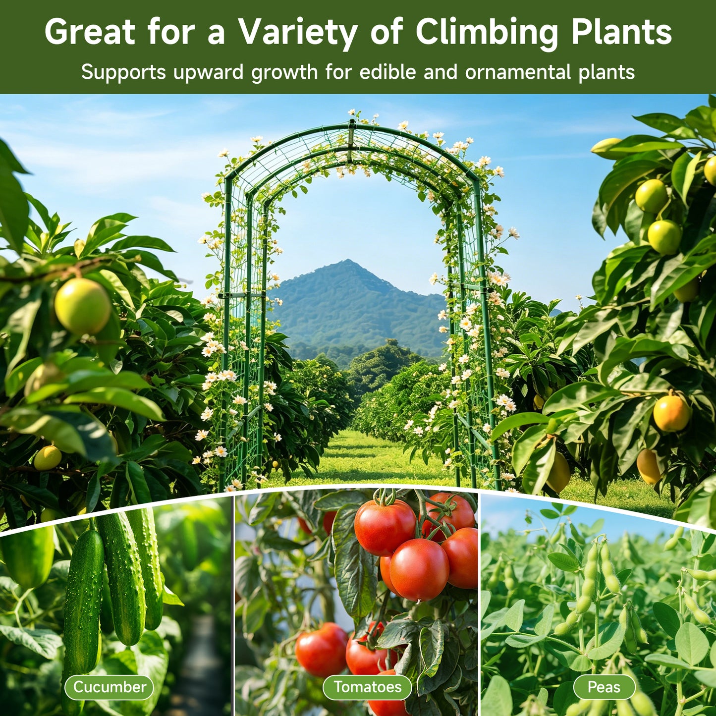 Cucumber Trellis for Raised Bed, U-Shape Garden Arch Metal Support for Climbing Plants, Metal Arch Plant Support Vegetables Trellis