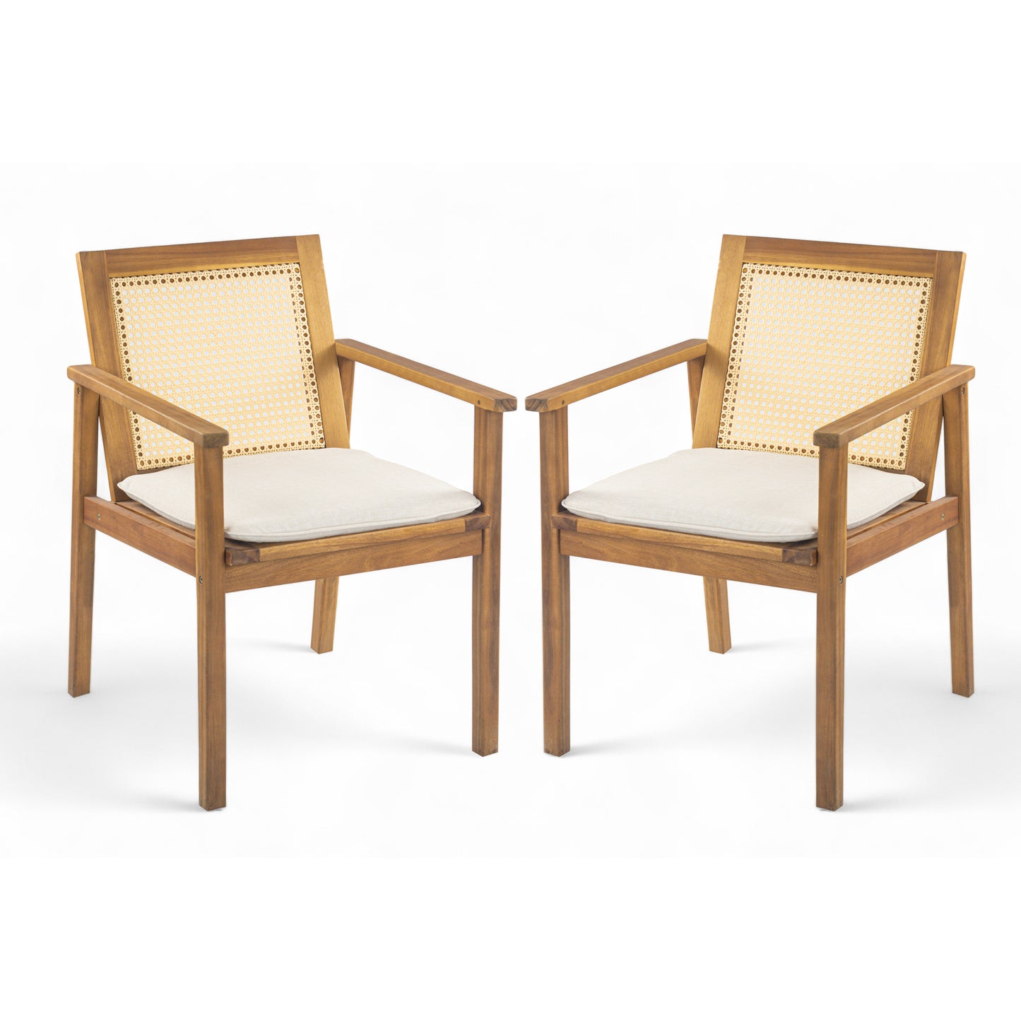 Preston Outdoor Dining Chair with Cushion(Set of 2)