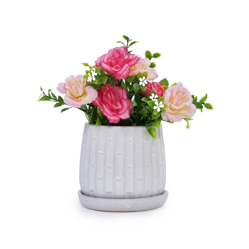 5 in. and 7 in. White Garden Ceramic with Tray Planter (2-Pack)