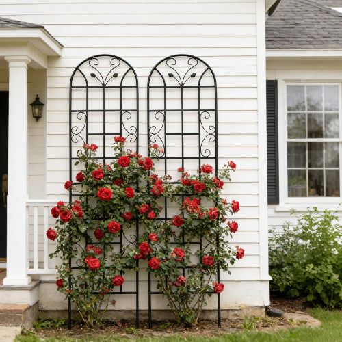2 Pack Metal Garden Trellis 71 in. x 19.7 in. Rustproof Trellis for Climbing Plants Outdoor Flower Support Black