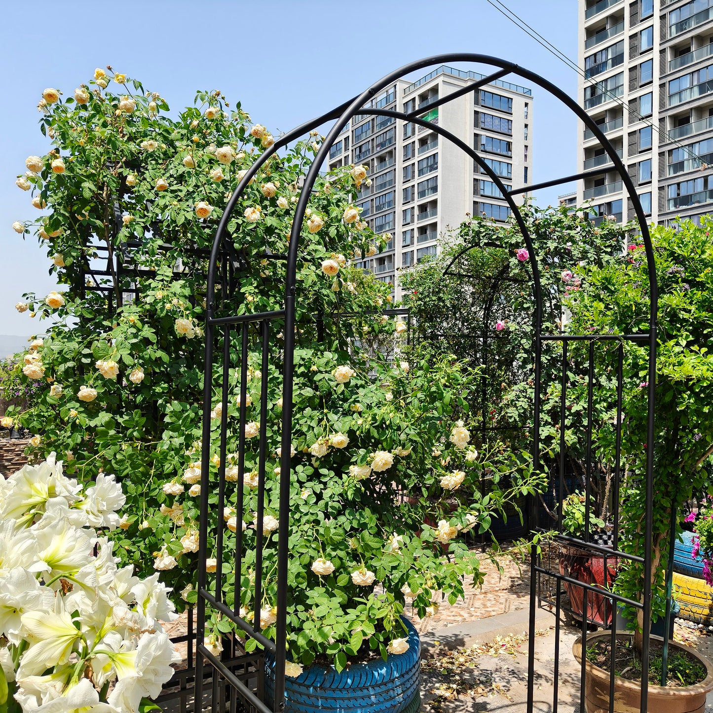 Metal Garden Arch L42.24'' x W17.52'' x H85.82'' Climbing Plants Support Rose Arch Outdoor Black