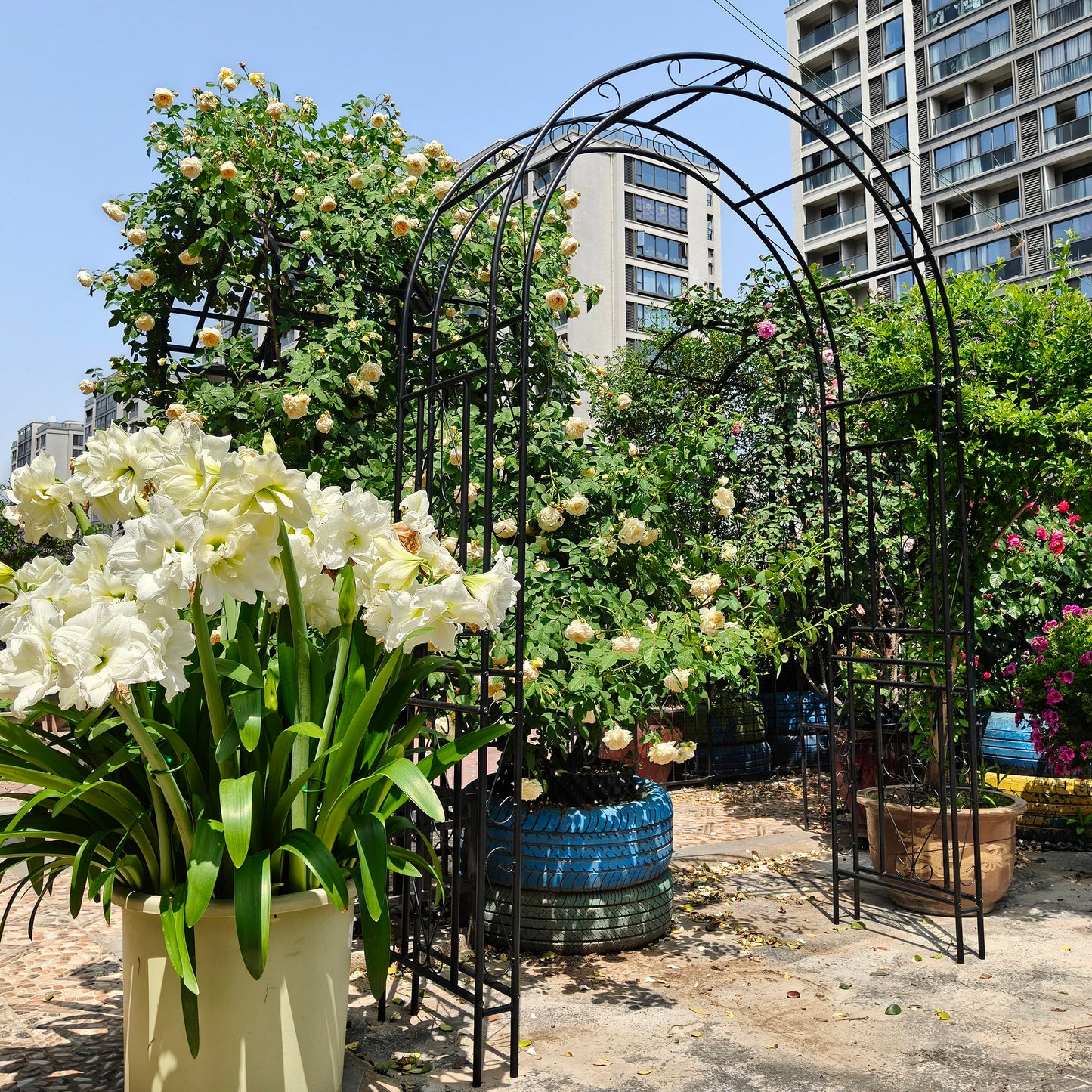Metal Garden Arch L59'' x W17.71'' x H90.55'' Climbing Plants Support Rose Arch Outdoor Black