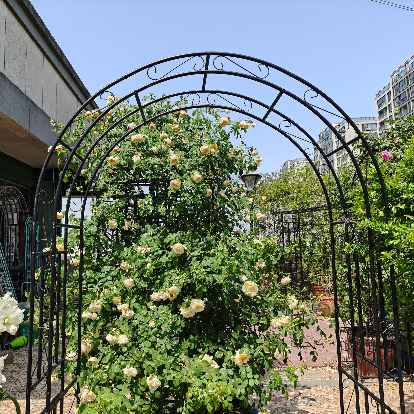 Metal Garden Arch L59'' x W17.71'' x H90.55'' Climbing Plants Support Rose Arch Outdoor Black