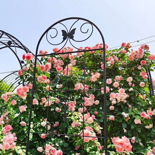 71 in. 2-Pack Black Metal Garden Trellis Rustproof Trellis for Climbing Plants Outdoor Flower Support