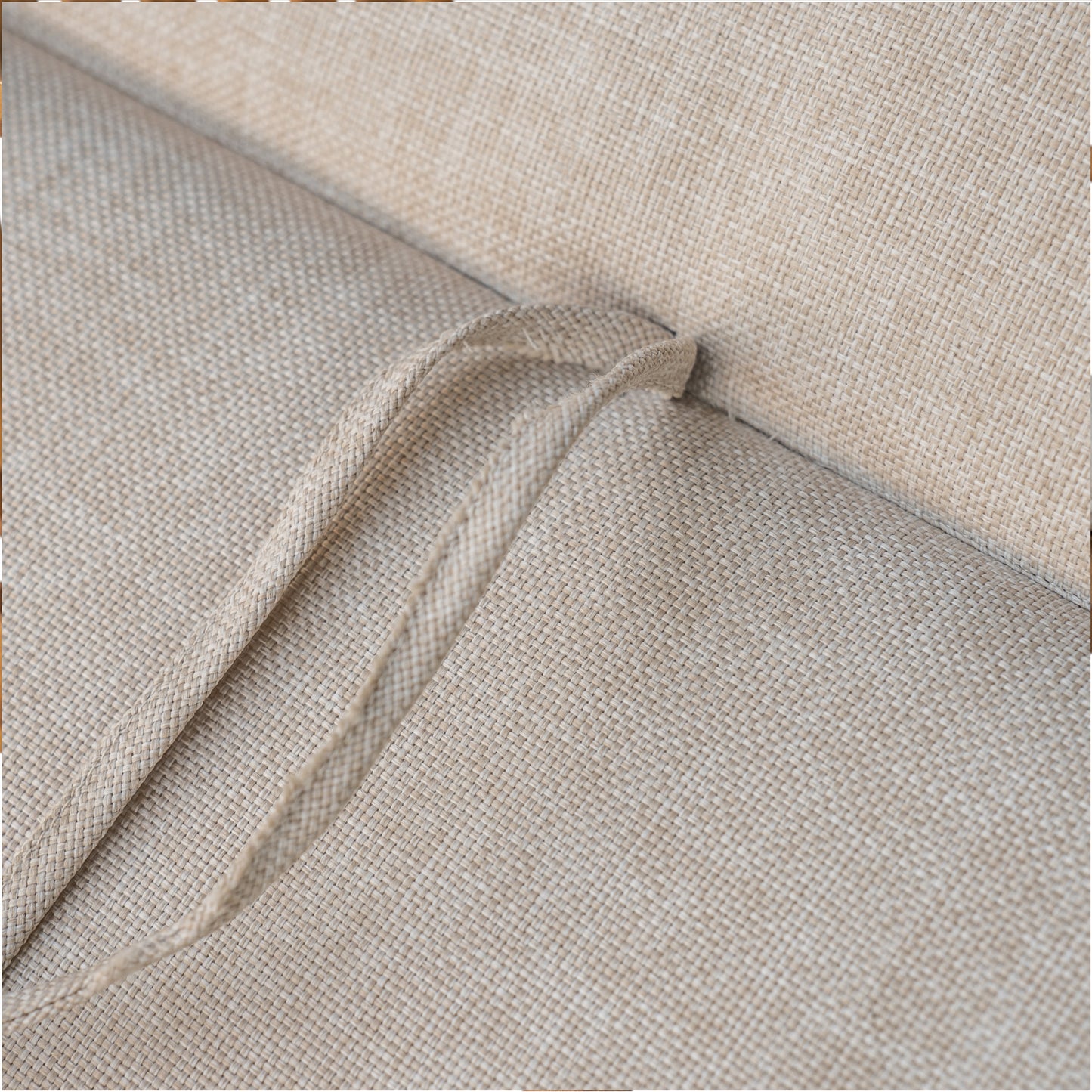 Meja Dining Chair With Cushion, Set of 2