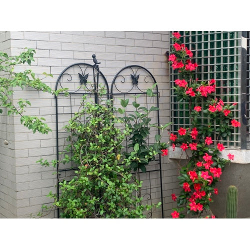 71 in. Black Butterfly Indoor Outdoor Metal Garden Trellis 2-Pieces Lawn Fence Decor Screen, for Climbing Support Plant