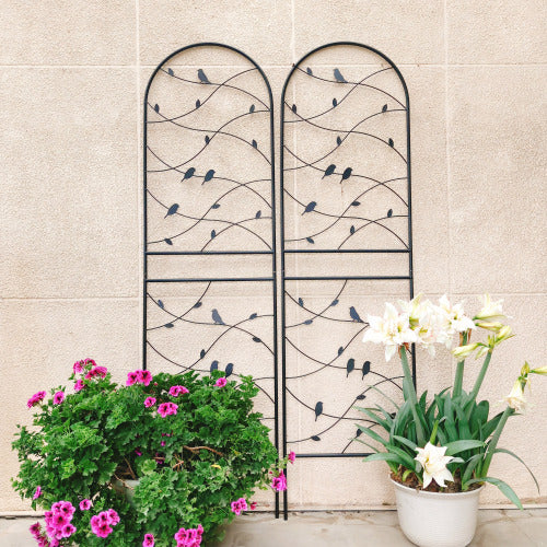 2 Pack 71 in. x 19.7 in. Black Metal Garden Trellis, Rustproof Trellis for Climbing Plants Outdoor Flower Support