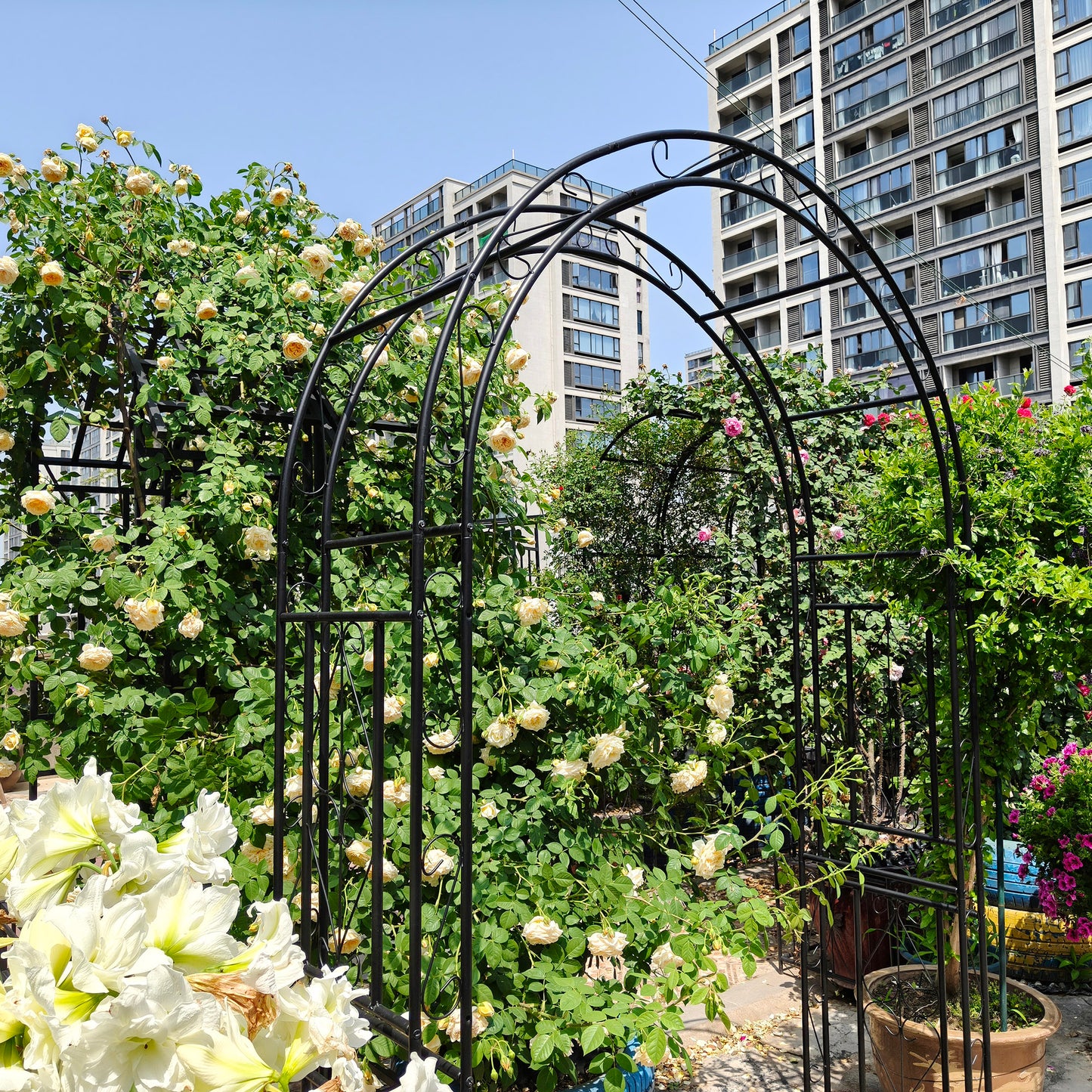 Metal Garden Arch L59'' x W17.71'' x H90.55'' Climbing Plants Support Rose Arch Outdoor Black