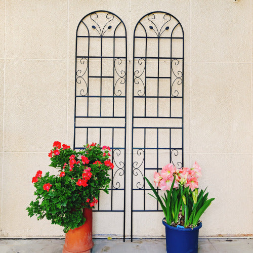 2 Pack Metal Garden Trellis 71 in. x 19.7 in. Rustproof Trellis for Climbing Plants Outdoor Flower Support Black