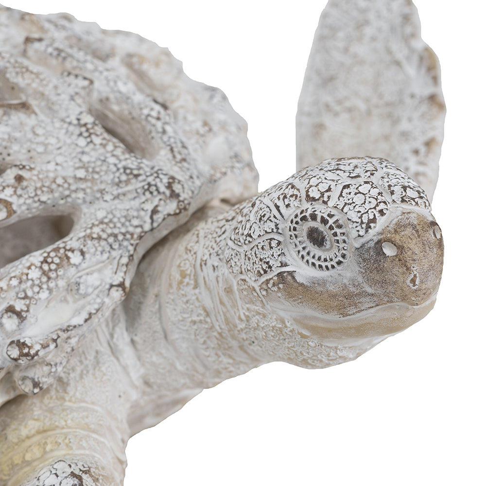 13.2x12.2x3.9" Decorative Polyresin Turtle Statue with White Coral Reef Design