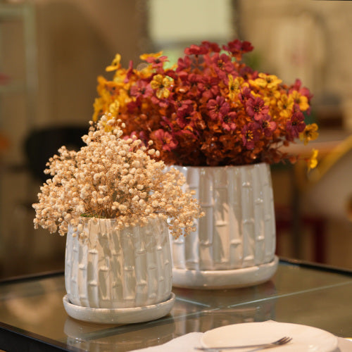 5 in. and 7 in. White Garden Ceramic with Tray Planter (2-Pack)