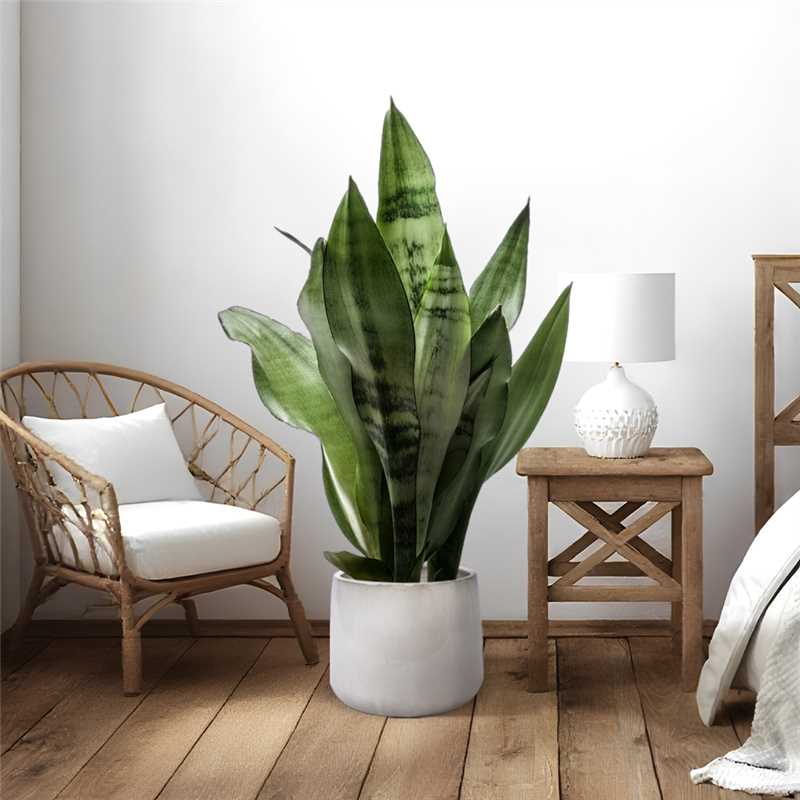 Handmade Ceramic Planter Set of 4, 6/9/11/14 Inch Diameter, Neutral Textured Finish for Succulents, Cacti & Orchids, Indoor/Outdoor Use on Windowsills & Bookshelves, Breathable Clay