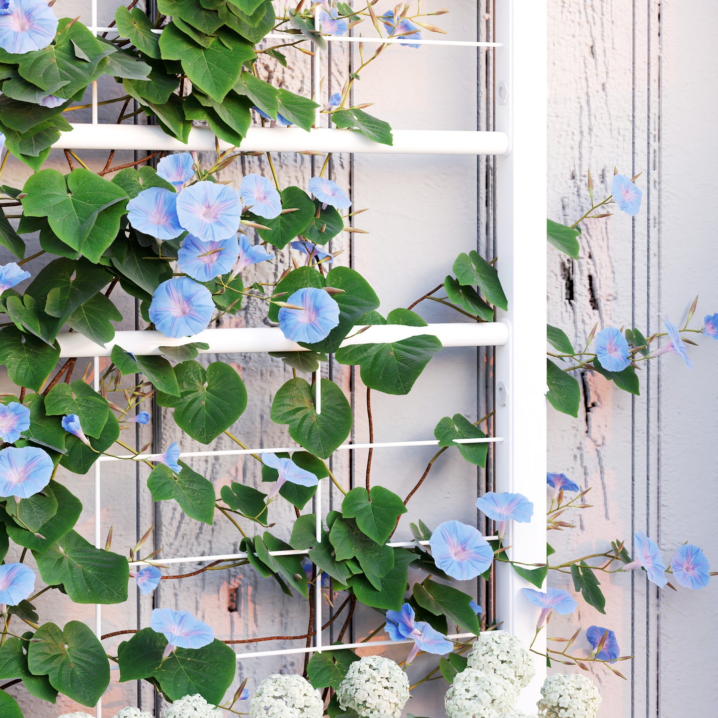 Outsunny Galvanized Raised Garden Bed with Trellis for Climbing Vines Vegetables Flowers, Outdoor Planter Box, 35.4" x 15.7" x 47.2", White