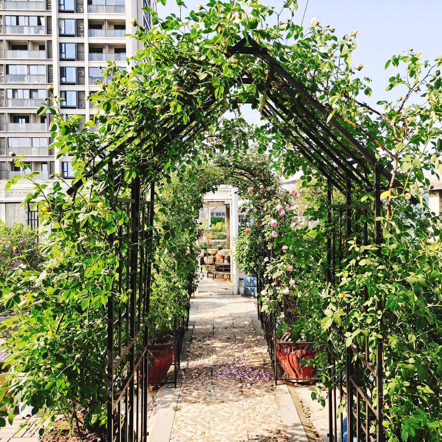 Metal Garden Arch with Adjustable Width W42.52''~W78.15''  Climbing Plants Support Rose Arch Outdoor Black