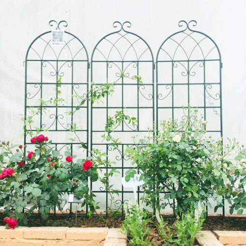 2-Pack 86.7 in. Metal Garden Trellis for Climbing Plants, Black