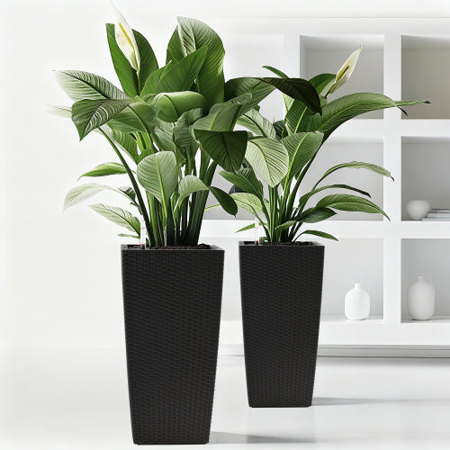 Black Wicker Square Flower Pot With Automatic Watering System Making Flower Cultivation Easier(Black, 2-Pack)