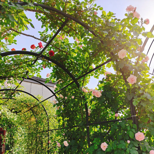 Metal Garden Arbor with Gate 86.6 in. H Black Garden Arch Trellis for Climbing Plants Outdoor, Wedding Arches Decoration
