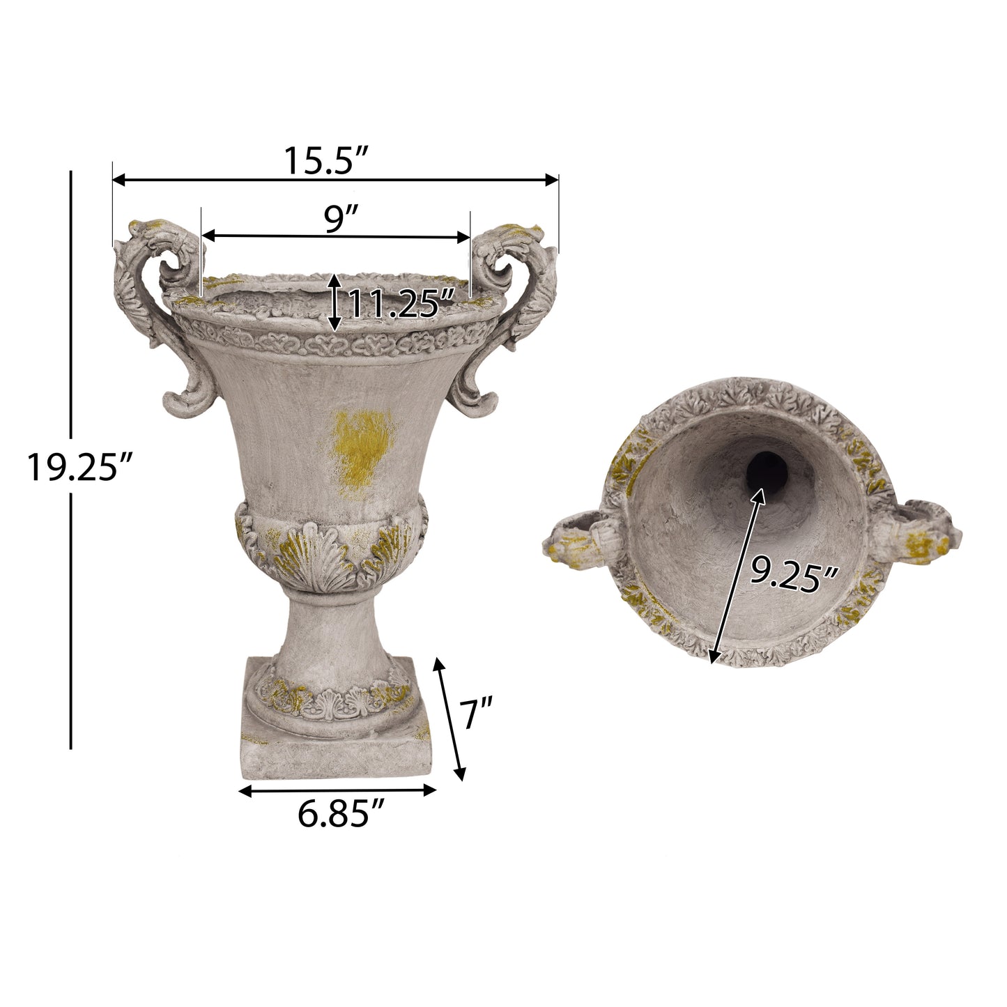 DELPHINE URN
