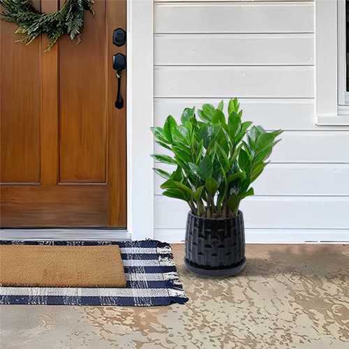 5 in. and 7 in. Black Garden Ceramic with Tray Planter (2-Pack)