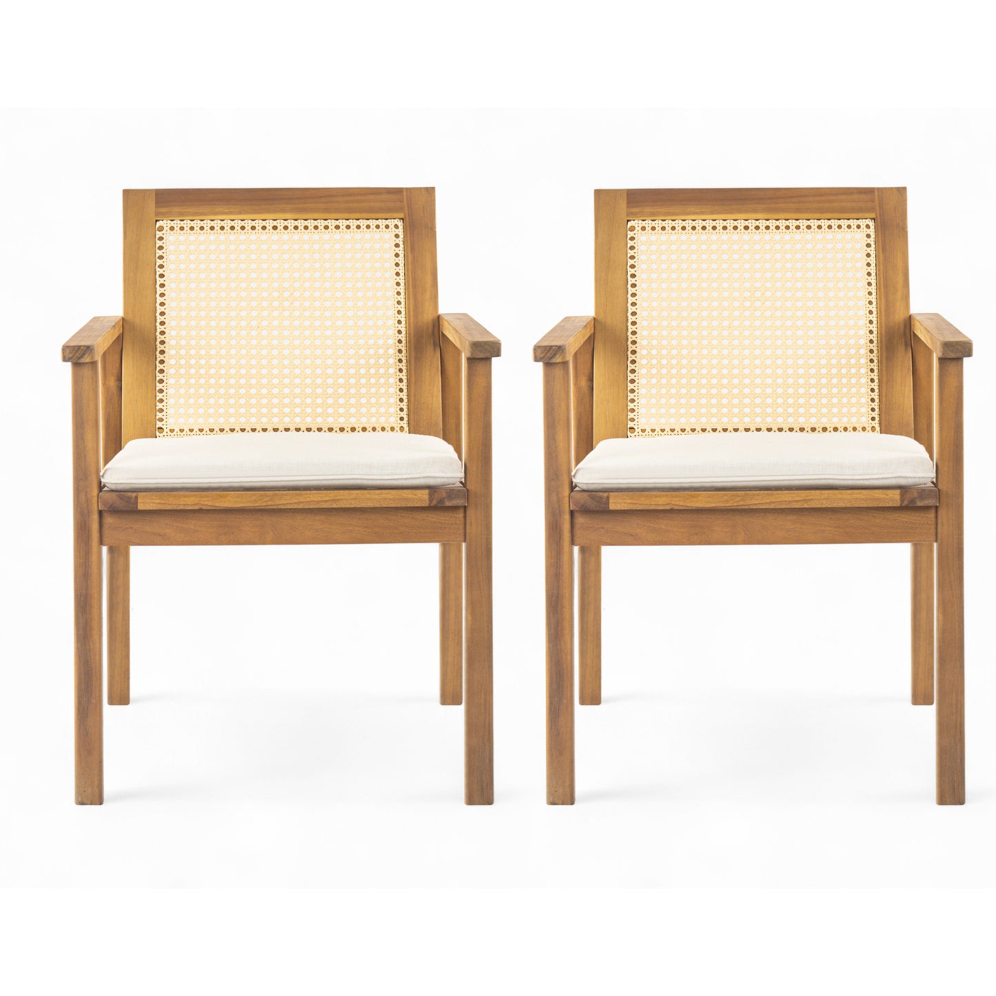 Preston Outdoor Dining Chair with Cushion(Set of 2)