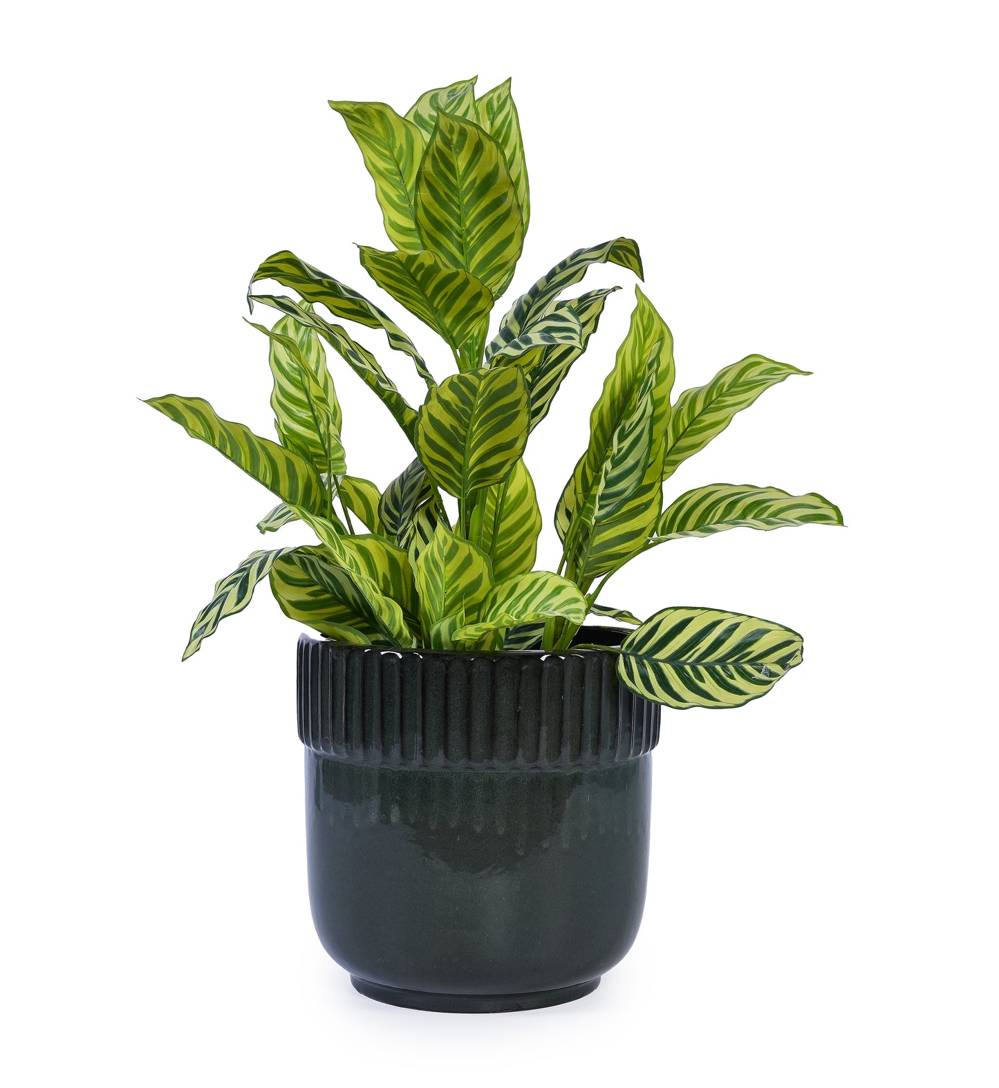 Handmade Ceramic Planter Set of 3, 15/14/9 Inch Diameter, Black Ribbed Pattern, for Succulents Indoor/Outdoor Use on Windowsill & Bookshelf, Breathable Clay